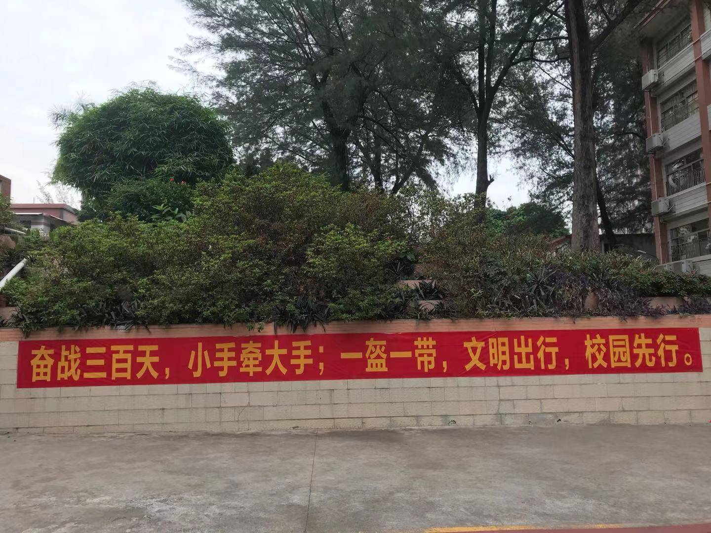 学习交通知识,做文明小市民|江海街开展交通安全进校园宣传活动