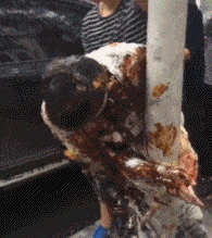 搞笑GIF:这孩子肯定会怀疑人生