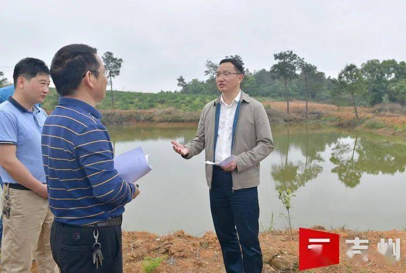 督察整改进行时吉州区区长督察生态环保工作