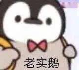来我的快乐星球吗? 聊天必备表情包