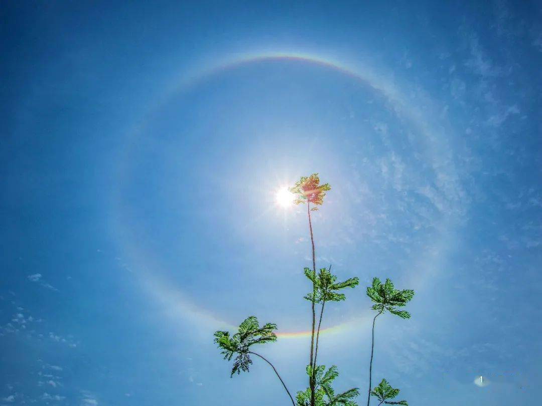 今日西林上空出现日晕奇观_太阳