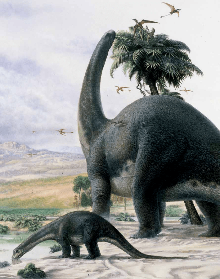 体形巨大的蜥脚类恐龙生活场景图,它们通常成群结队地活动
