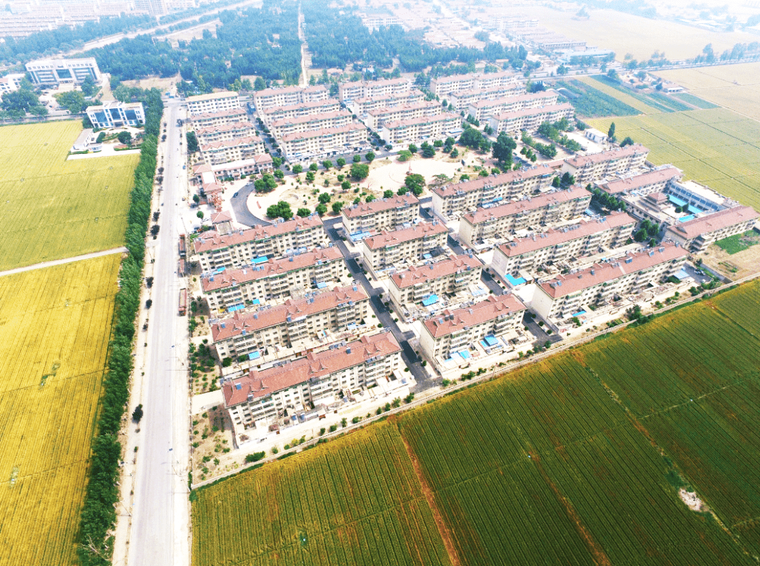 记忆桓台索镇永安桥村花园村