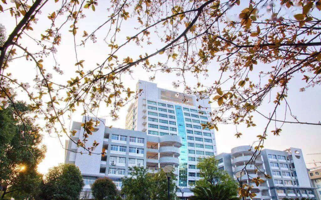 南华大学公开招聘_岗位