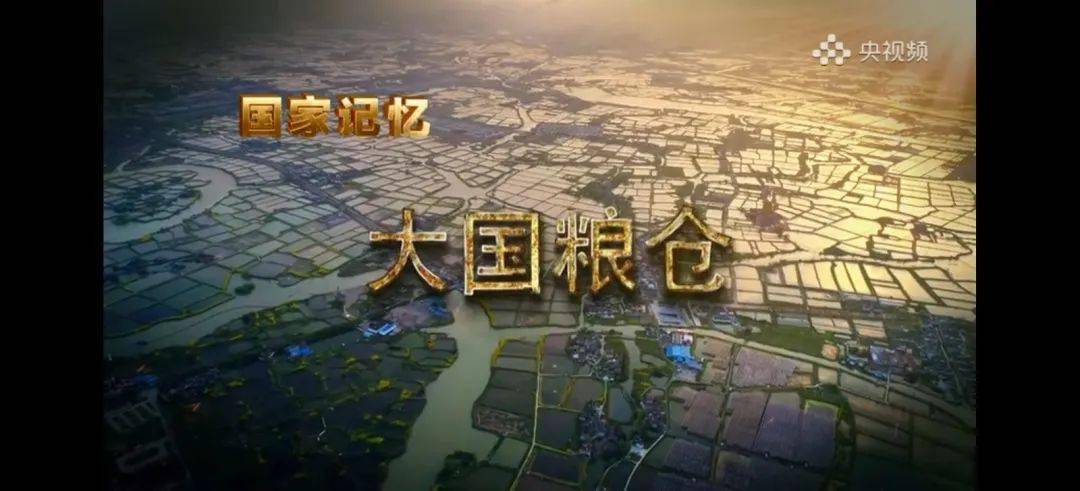 筠连"山繁川育,藏牛于户"模式在央视纪录片《大国粮仓》中播出