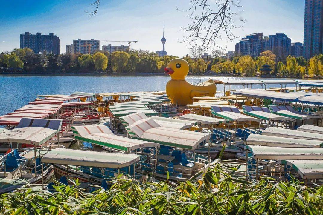 北京现在去哪划船赏景最好?西城,海淀,朝阳都有推荐!