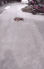 搞笑gif:小伙子这就是你的人生巅峰了,往后可没有了