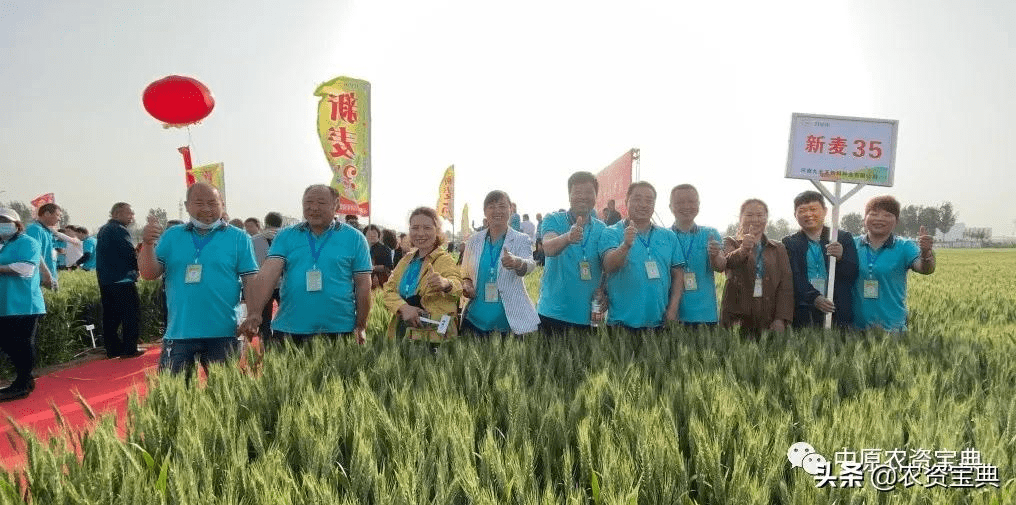 首战告捷!继新麦26之后再出"王牌"品种,经销商表态要"主推"