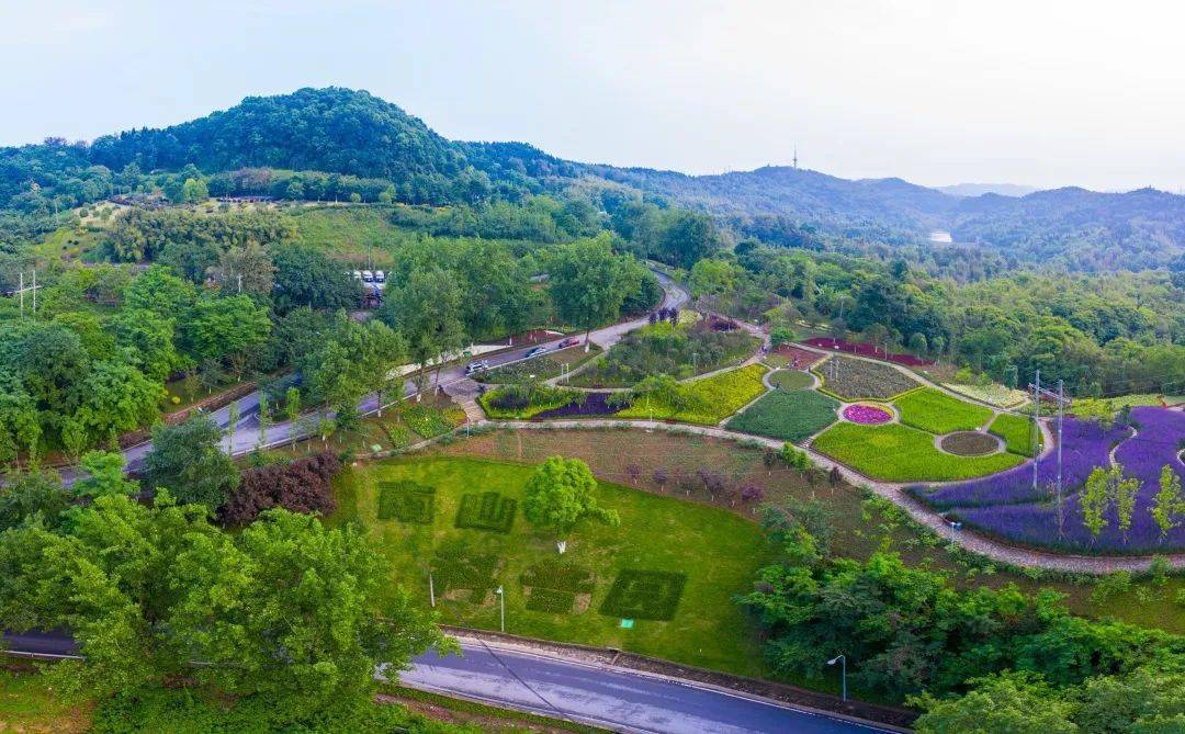 大足南山公园植物科普园超美