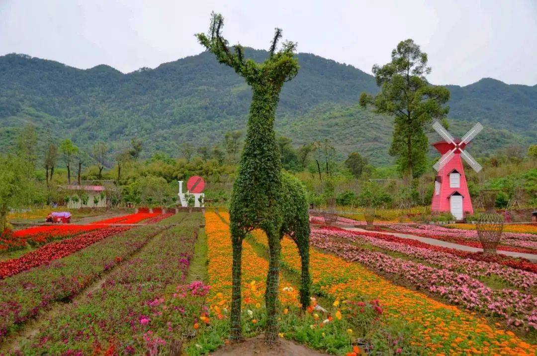 垫江县城—中华仙草园—牡丹樱花世界—乐天花谷—油菜花大观园