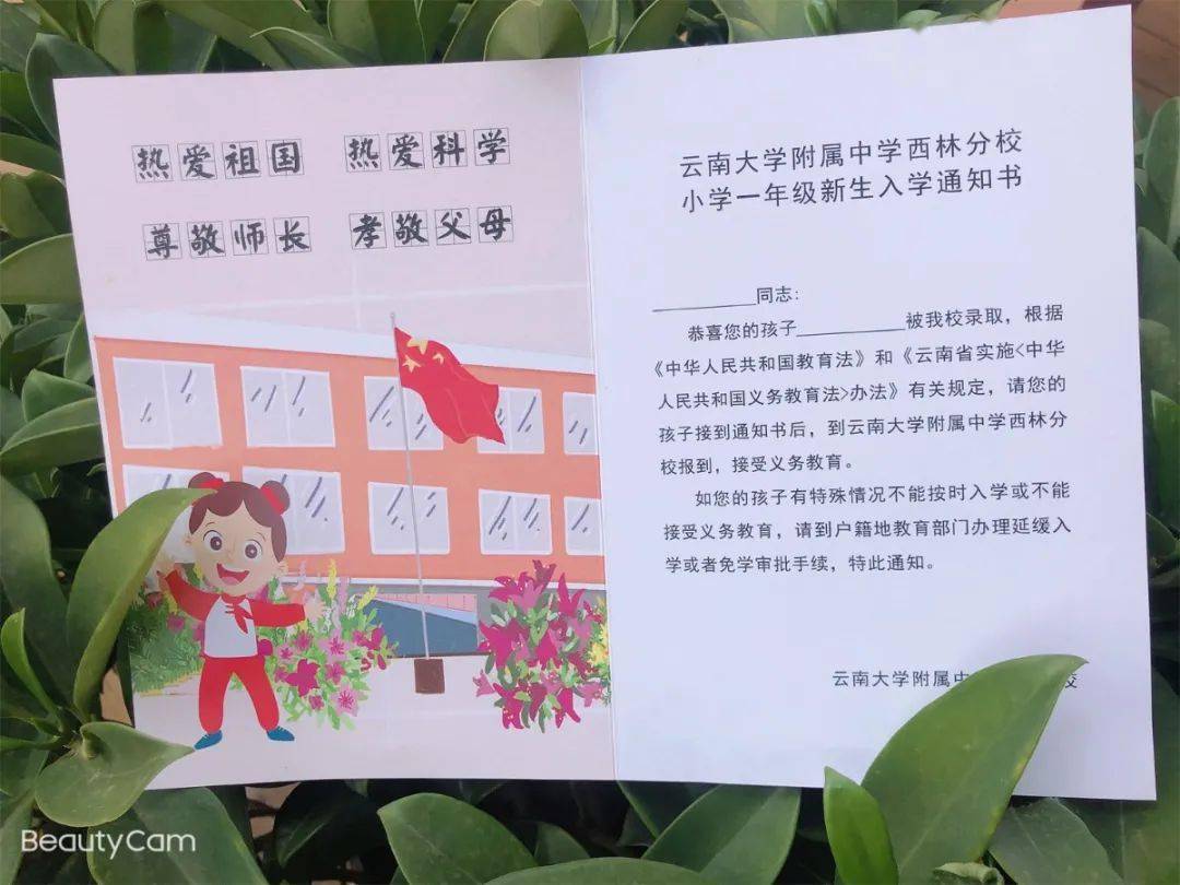 2021年昆明各小学入学通知书来啦!看看哪家颜值最高?