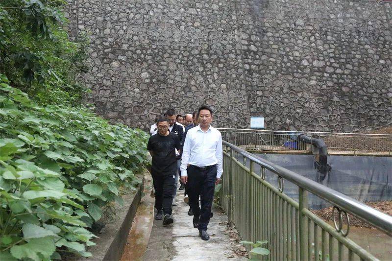 田兴国督查生态环境保护整改工作_玉屏