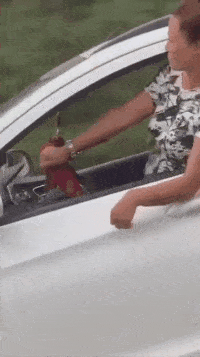 搞笑gif:妹子别练了,你已经让条狗pk下去了!