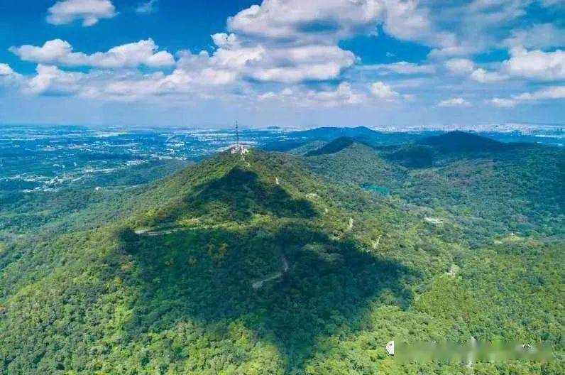 图源:南京老山国家森林公园●地址:浦口区黄山岭路老山国家森林公园12