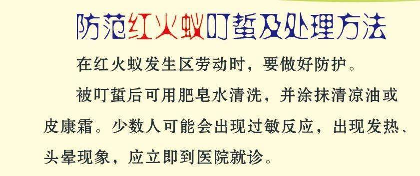 虫害防治 | 红火蚁的危害与防治