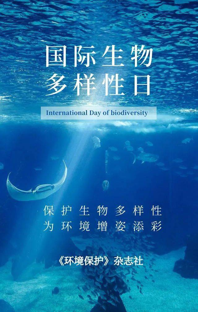 生物多样性 | 呵护自然,人人有责