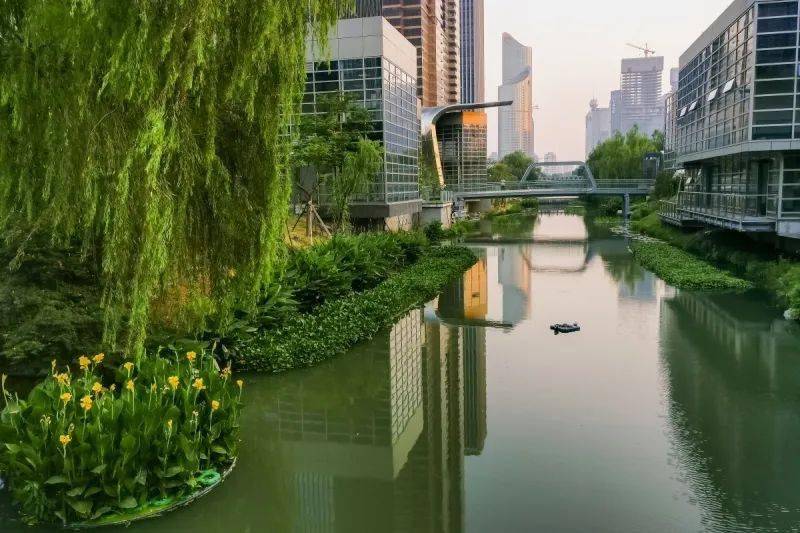 清水绿堤:美丽新塘河,水上夜珍珠_钱江新城