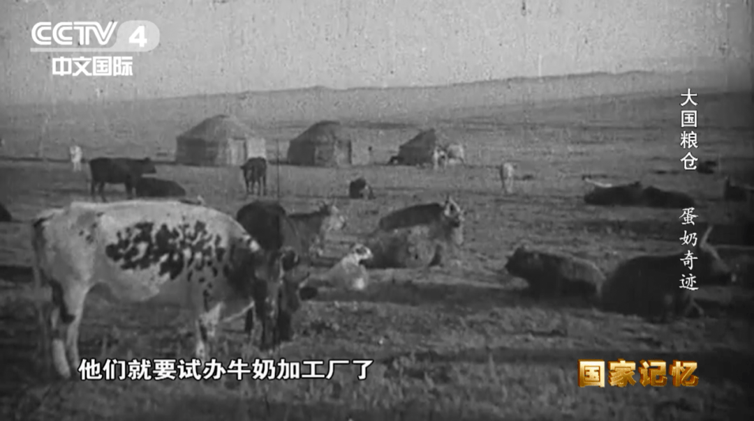 纪录片大国粮仓第七集蛋奶奇迹