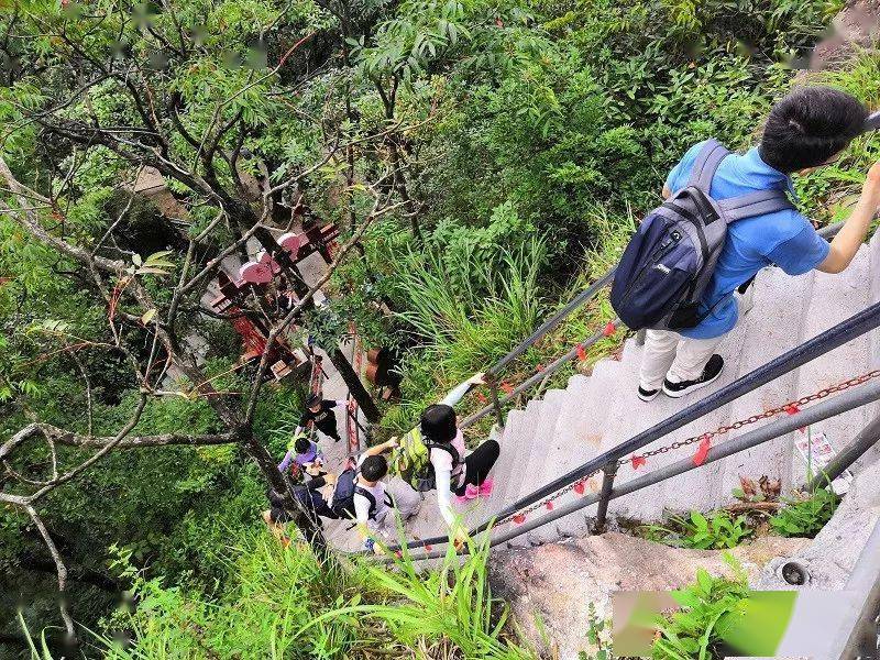 金子山以天梯而著名,原来的通天天梯是用石头建成的.