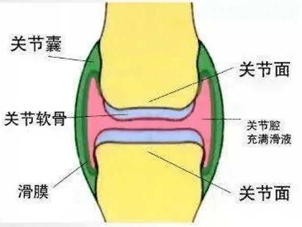 爹娘的腿又痛了!这种病,5个老人4个中招…_膝关节