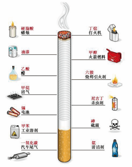 吸烟与被动吸烟的危害到底有多大?