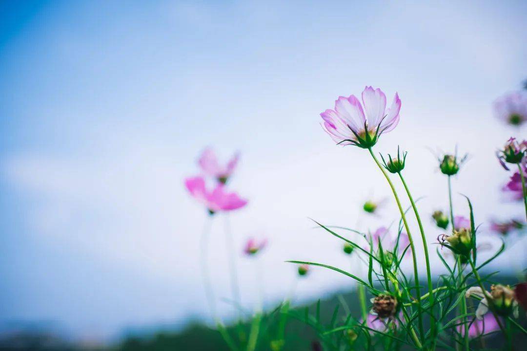 管好自己的心, 别去打扰不爱你的人_脾气