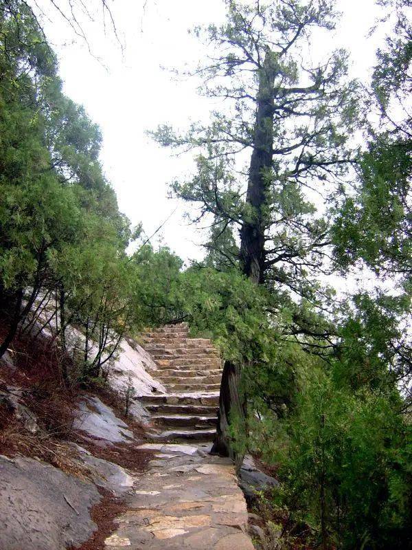 景区小贴士 # 地址:河北省邢台市邢台县冀家村乡老道旮旯村 张果老山