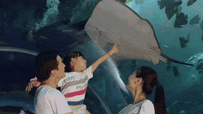 同样是重要的打卡地 恢弘场景,逼真特效,震撼冲击 360度全方位视听