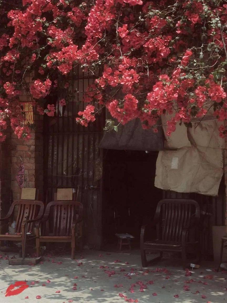 旅途愉快