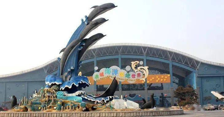 在泉城海洋极地世界,你可以与群鱼共舞,同飞禽玩耍,与海洋来一次近