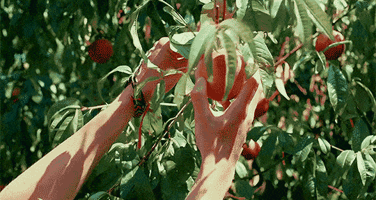 540_287gif 动态图 动图