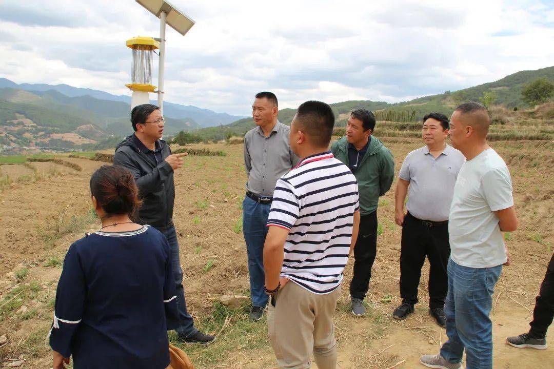 保和镇拉日村拍底组是维西县传统的种植基地.