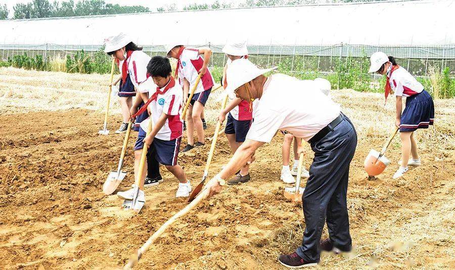 孩子们参加乡村劳动研学