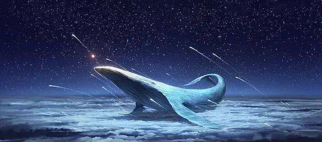 一鲸落万物生原来鲸落是这么回事快来听深海鲸鱼的故事