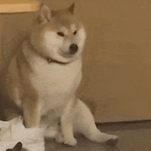 这画面我不忍心看,哈哈哈哈哈哈哈