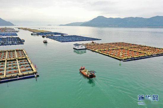 福建宁德:清理海漂垃圾 保护海洋环境