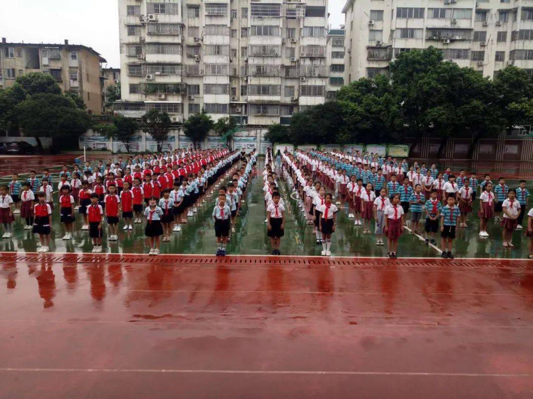 桂林这个区最新小学学区划分出炉你家小孩去哪上学