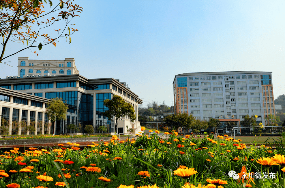 永川新增一所大学和航空学院