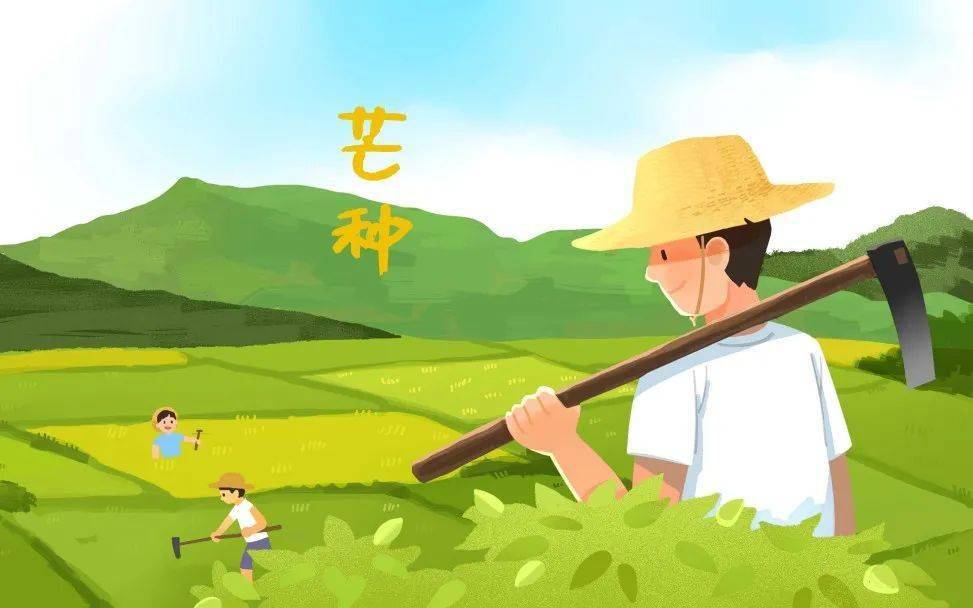 贵州东南部一带的侗族青年男女每年芒种前后都要举办打泥巴仗节当天