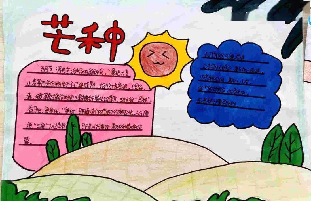 知芒种绘手报丨爆台寺小学学生二十四节气芒种手抄报展示活动