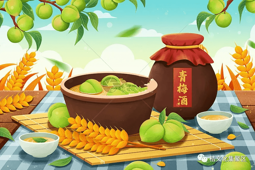 芒种丨风吹麦成浪蝉鸣夏始忙