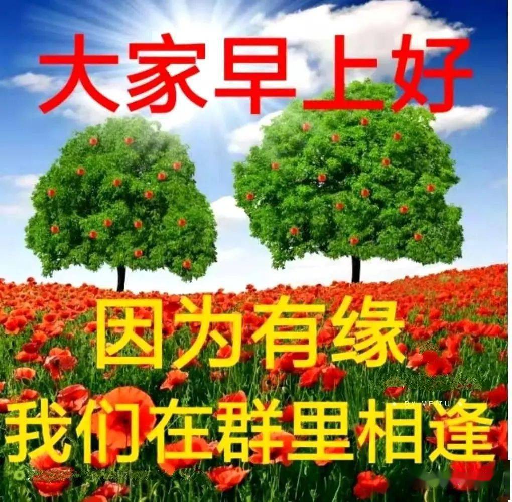 2021早上好漂亮鲜花美女图片带祝福语 暖心温馨早安问候祝福图片鲜花