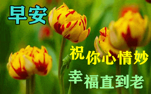 6月9日最漂亮早上好动态表情图片及动图美图大全 你的能量,决定你能