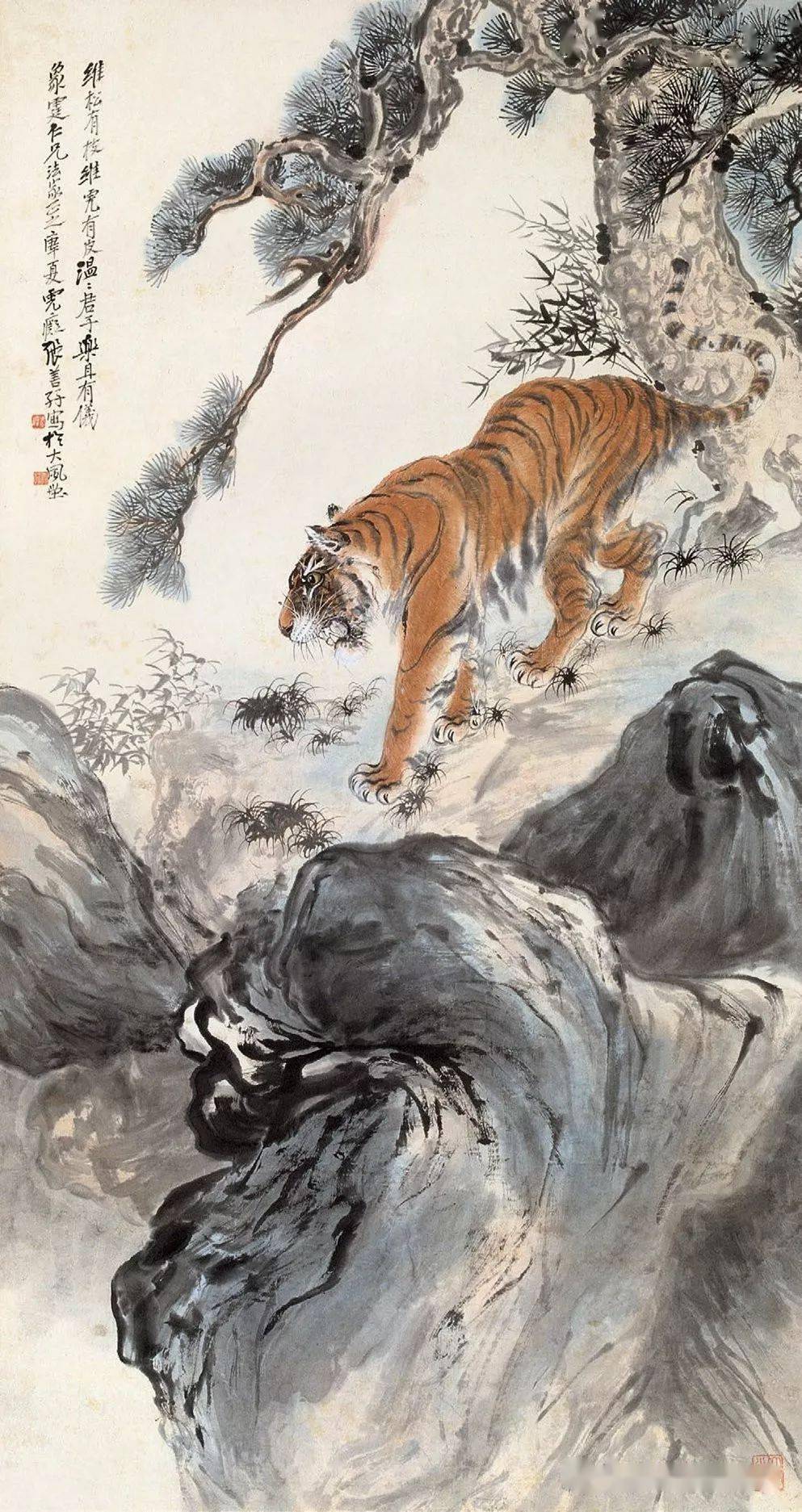 张善孖:中国画虎第一人,张大千为他立誓不画虎!(100副