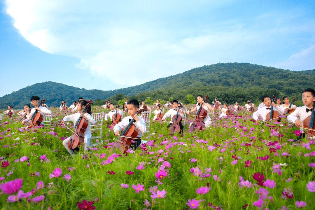 拈花湾百人花海大提琴演绎视听盛宴醉人心田