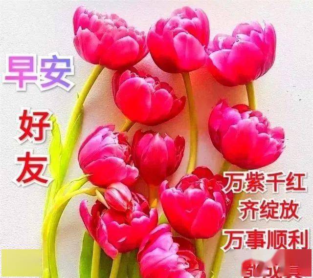67清晨问候朋友最暖心的早安祝福语句微信朋友圈漂亮的早安问候图片