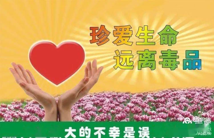 珍爱生命远离毒品中庄小学禁毒宣传月活动