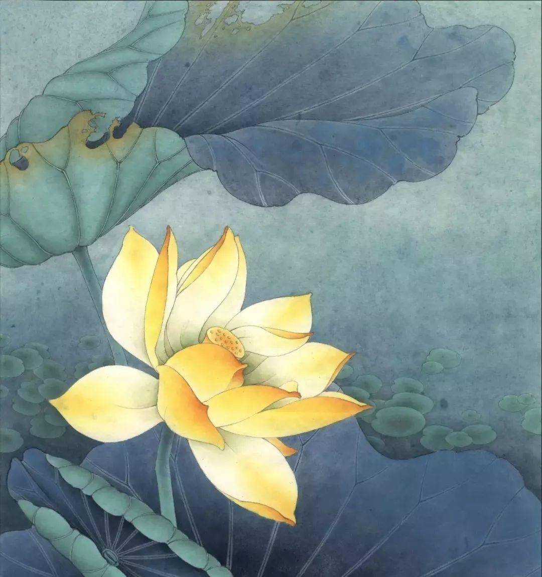 五种工笔荷花的绘画着色步骤详解!