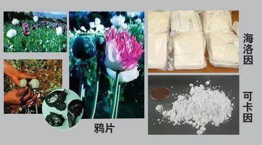 新型毒品穿马甲极具隐蔽性和迷惑性北京将加大打整力度