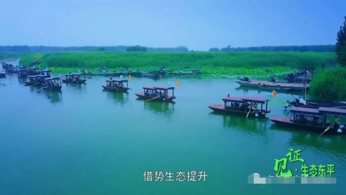 东平县:全力打造黄河流域生态保护和高质量发展示范区